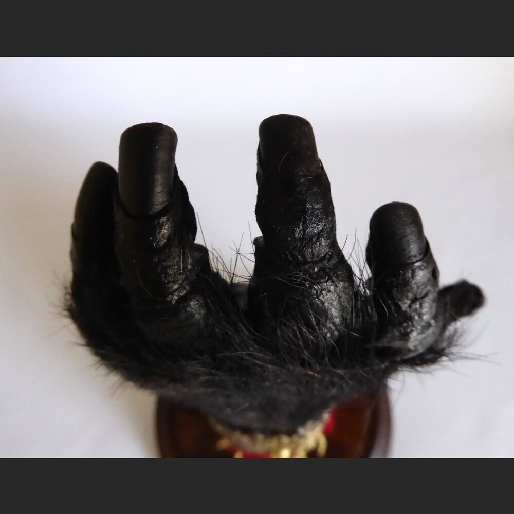 16” REAL TAXIDERMY “CURSED” MONKEY PAW HAND IN GLASS DOME DISPLAY BASE ODDITY - Picture 9 of 15